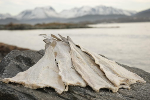 DYBVIK klippfisk tradisjonell mellomstor fisk (1,5 - 2,5kg), pakket i 10 kg kartong - Bilde 2